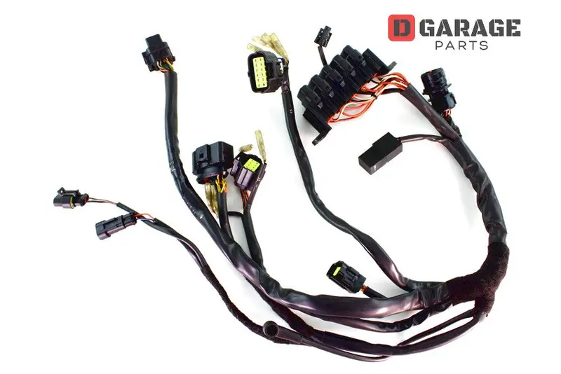 Cablaggio Anteriore Ducati Multistrada 1000 Ds 1