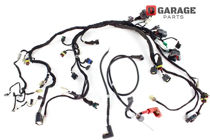 Cablaggio Completo Ducati Monster 1100 1100S 1