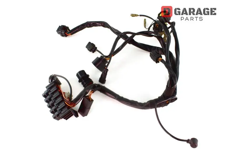 Cablaggio Elettrico Anteriore Ducati Multistrada 1000 1