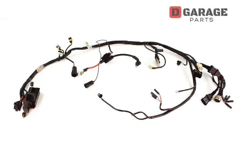Cablaggio Principale Ducati Monster 600 750 900 Prima Serie 1