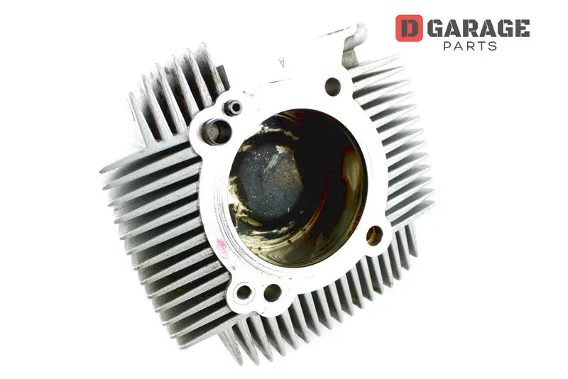 Cilindro Pistone Orizzontale Ducati Monster 797 1