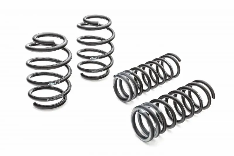 Eiback Pro-Kit Performance Springs 14-19 Ford Fiesta St 1