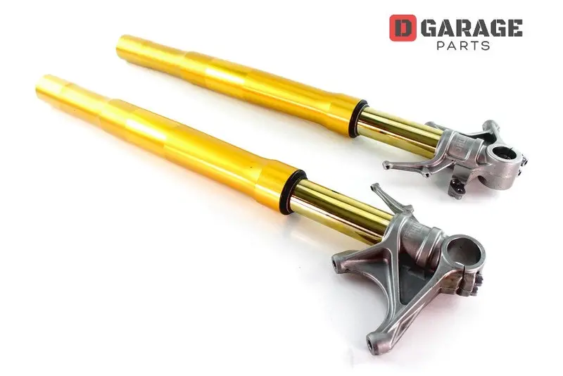 Forcelle Ohlins Elettroniche Ducati Panigale 1299S 1