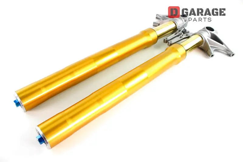 Forcelle Sospensioni Ohlins Ducati Ss Supersport 950 S 2