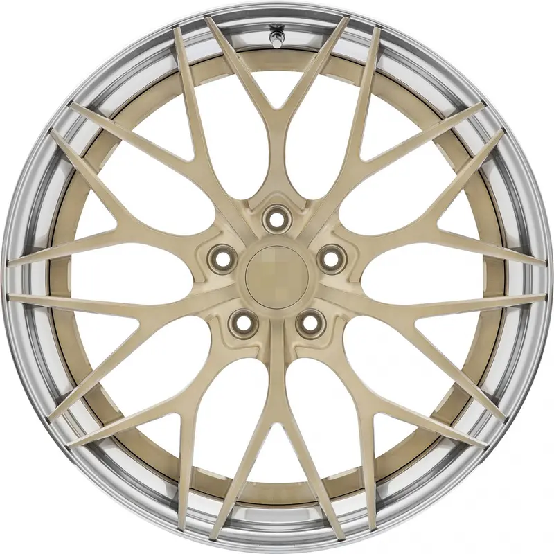Forged Wheels Hcs23 For All Models 1