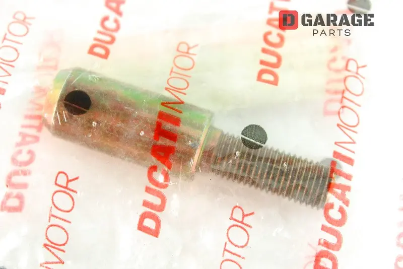 Perno Parastrappi Flangia Corona Ducati Monster 900 2