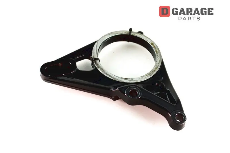 Piastra Fissaggio Pinza Freno Posteriore Ducati Diavel 1200 1