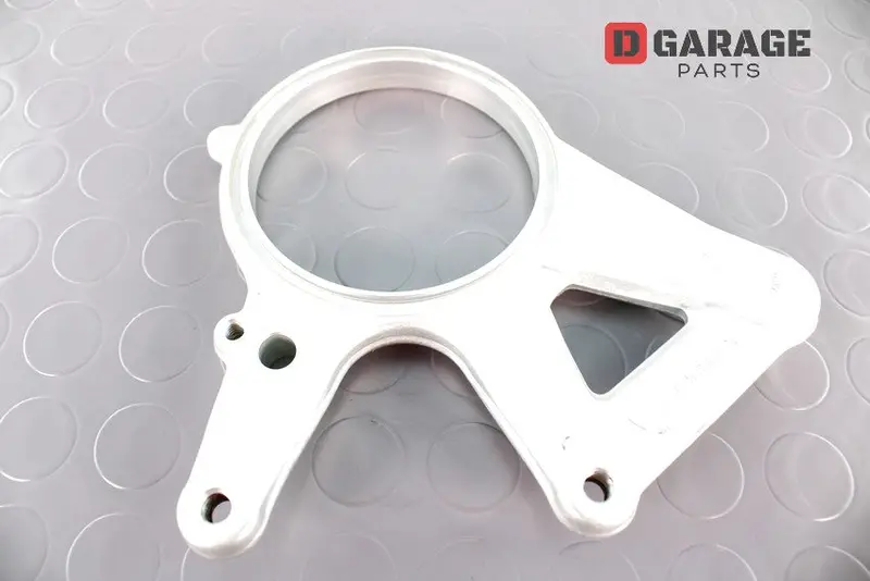 Piastra Pinza Freno Posteriore Ducati Panigale 1