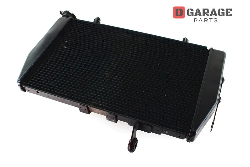 Radiatore Acqua Ducati Multistrada 1260 1260S 1