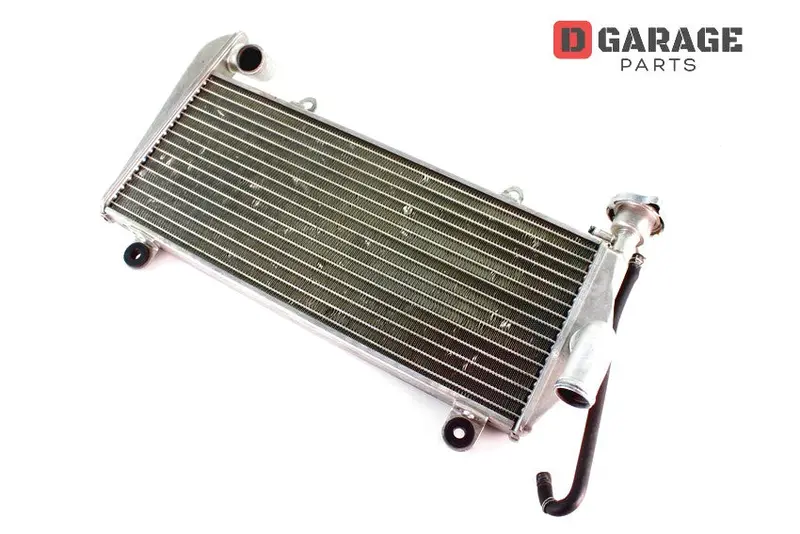 Radiatore Acqua Ducati Panigale 1299 1199 899 959 1