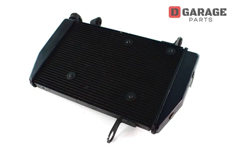 Radiatore Acqua Motore Ducati Hypermotard 821 939 1