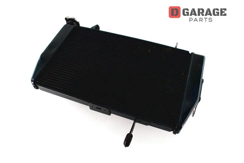 Radiatore Acqua Motore Ducati Multistrada 1200 1200S 1