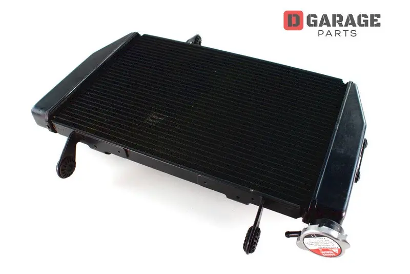 Radiatore Acqua Motore Ducati Multistrada 1200 1200S 1