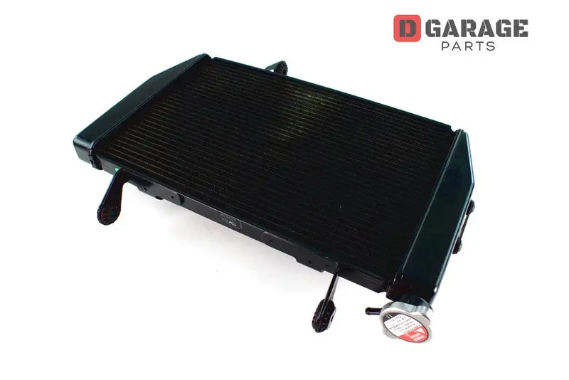 Radiatore Acqua Motore Ducati Multistrada 1200 1200S 1