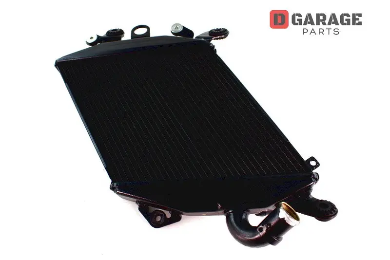 Radiatore Acqua Sinistro Ducati Diavel 1200 1