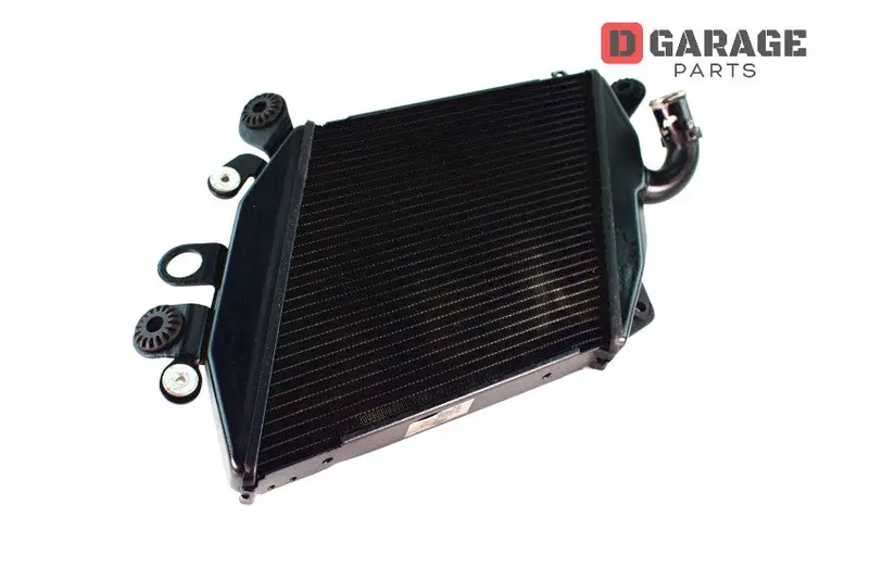 Radiatore Acqua Sinistro Ducati Diavel 1200 2