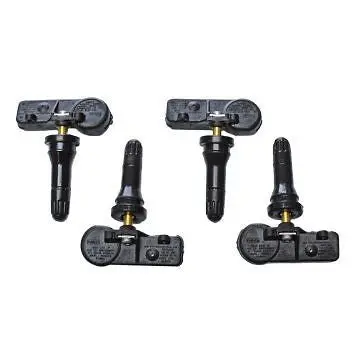 Schrader Tpms Sensor 1