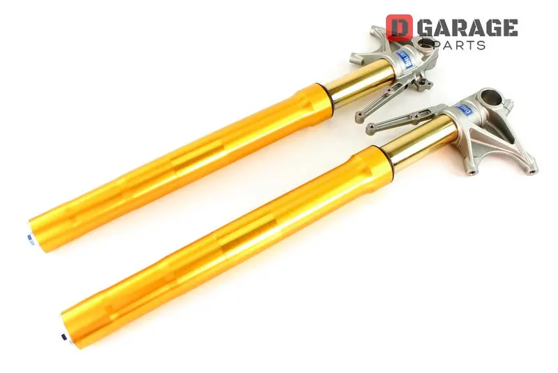 Sospensioni Anteriori Ohlins Ducati Monster 1200 S 2