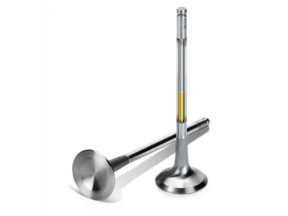 Supertech Ford Ecoboost 1.6L Sodium Filled Inconel Exhaust Valve (Set Of 8) - (Use W/Kpr-5.0/7S) 1