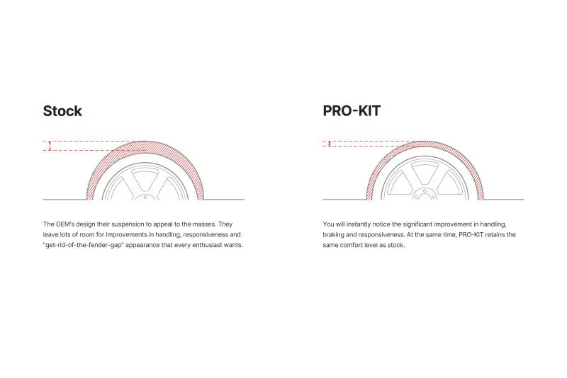 Eibach Pro-Kit Lowering Springs For 1998–2004 Bmw 5-Series (Set Of 2) 2